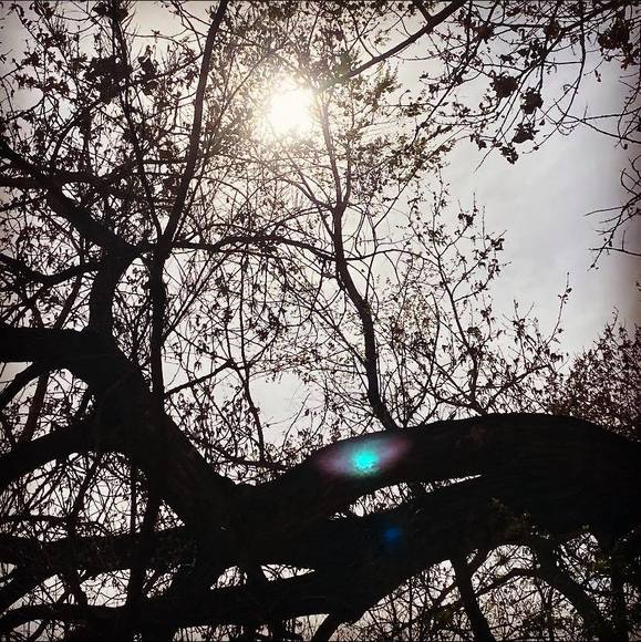 Meet your Posher, Serena - Picture 1 of 1